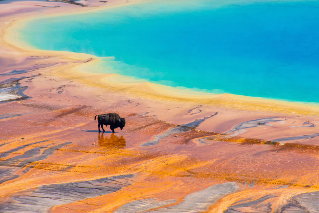 Yellowstone AdobeStock_261355161-1024x683